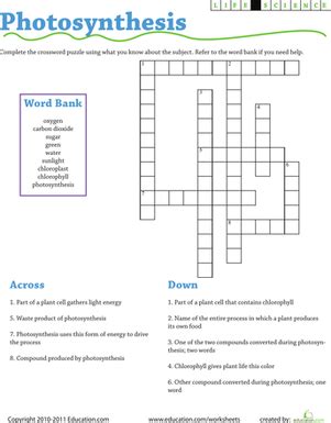 topic crossword clue|l TOPIC